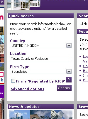Quick search panel of ricsfirms.com